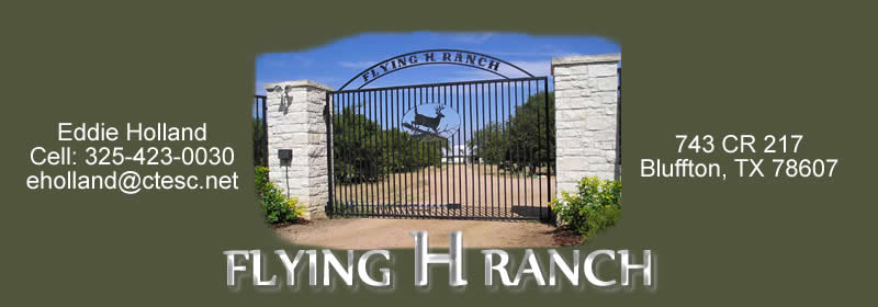 Flying H Ranch